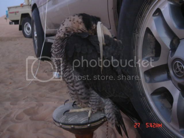 Picture159.jpg