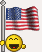 usaflag.gif