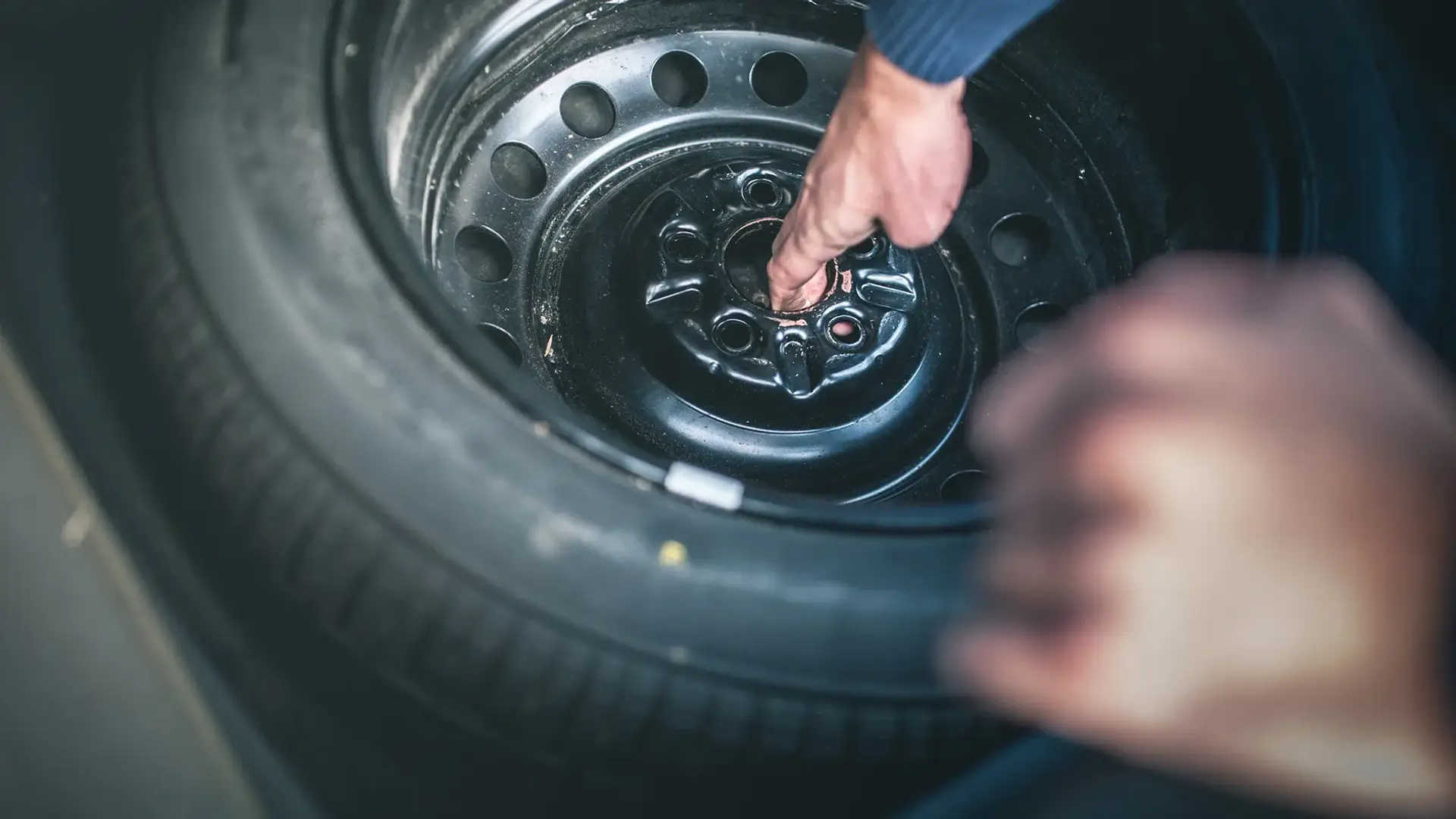 www.caradvice.com.au