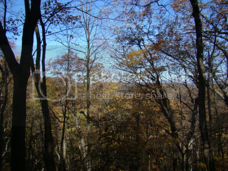 DSC06471.jpg