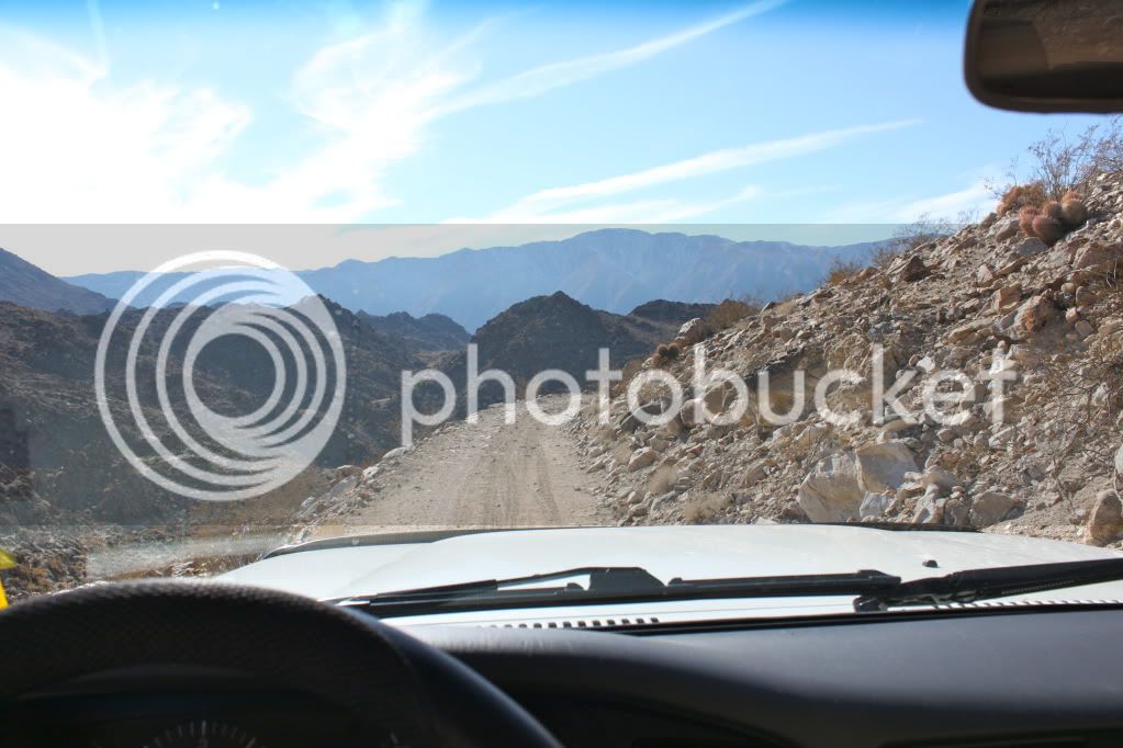 IMG_7325.jpg