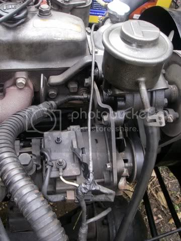 IMGP2840.jpg