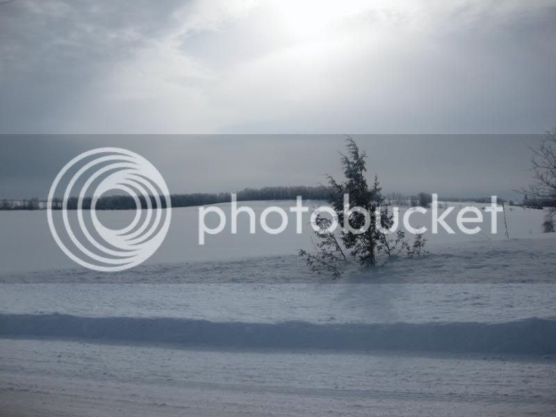 IMG_5965.jpg