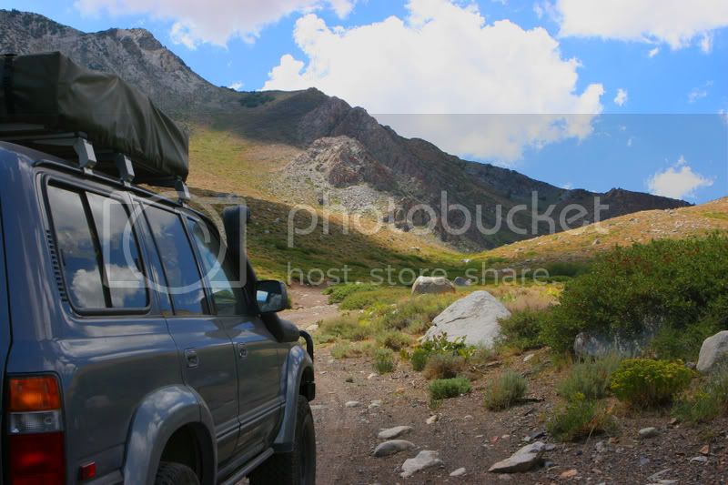 IMG_9837a.jpg