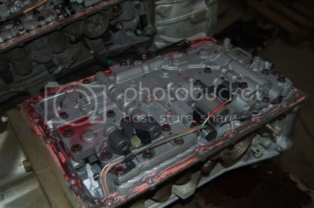 DSC_8117.jpg