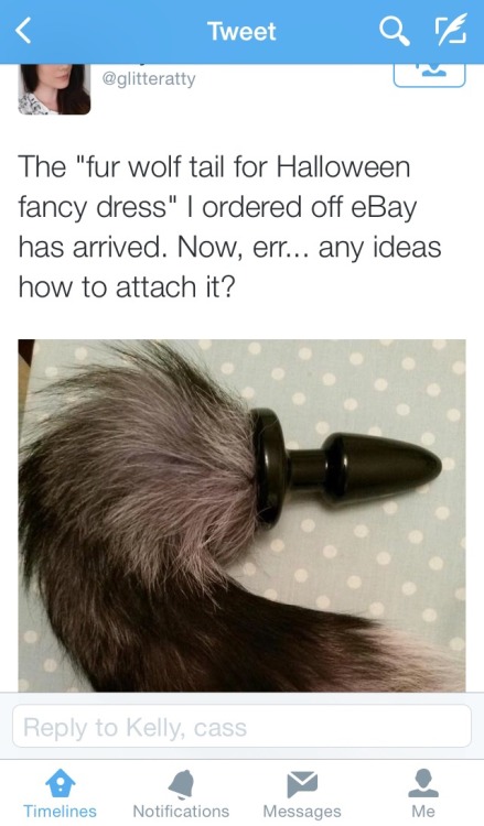 tumblr_ndrk2nbIPe1r1olo7o1_500.jpg