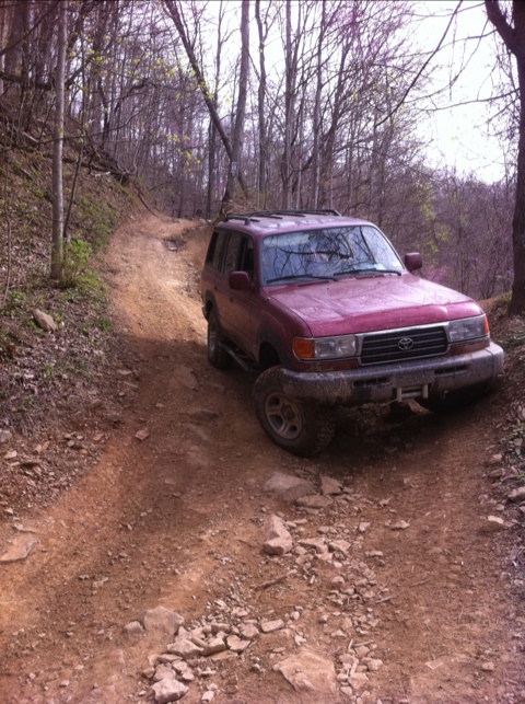 20120402-065844.jpg