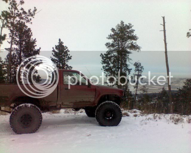 0120111624a_3158511.jpg