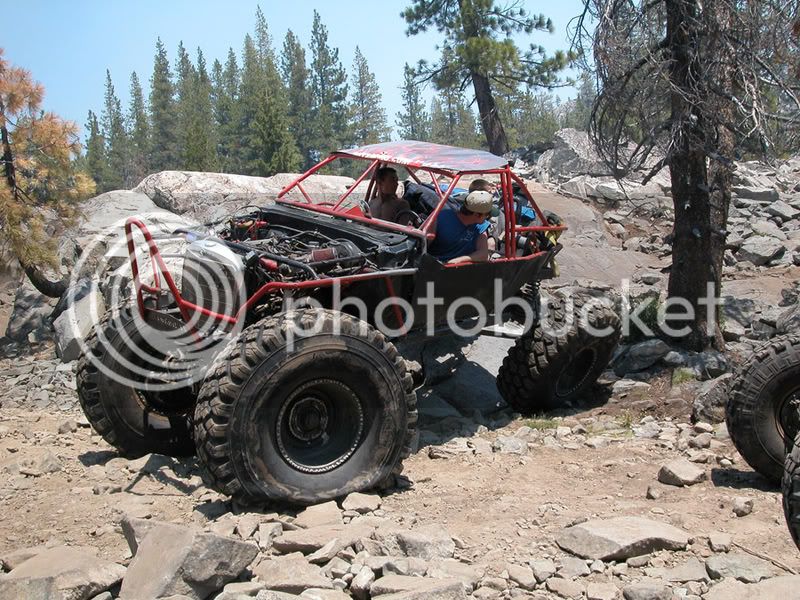 marksbuggy.jpg