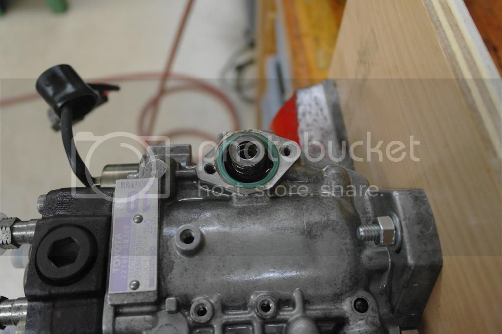 SAM_0093_zps829f5b03.jpg