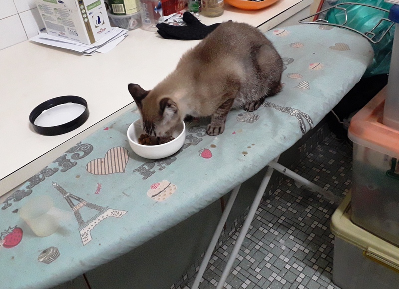 20170922_205531.jpg