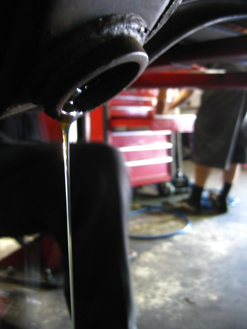 7907096452_20c9173137_z.jpg