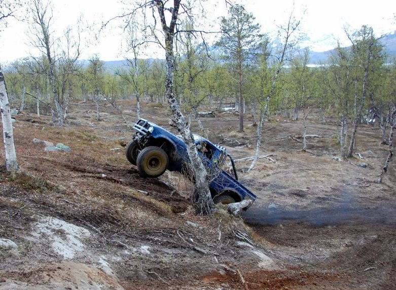 wheelie.jpg