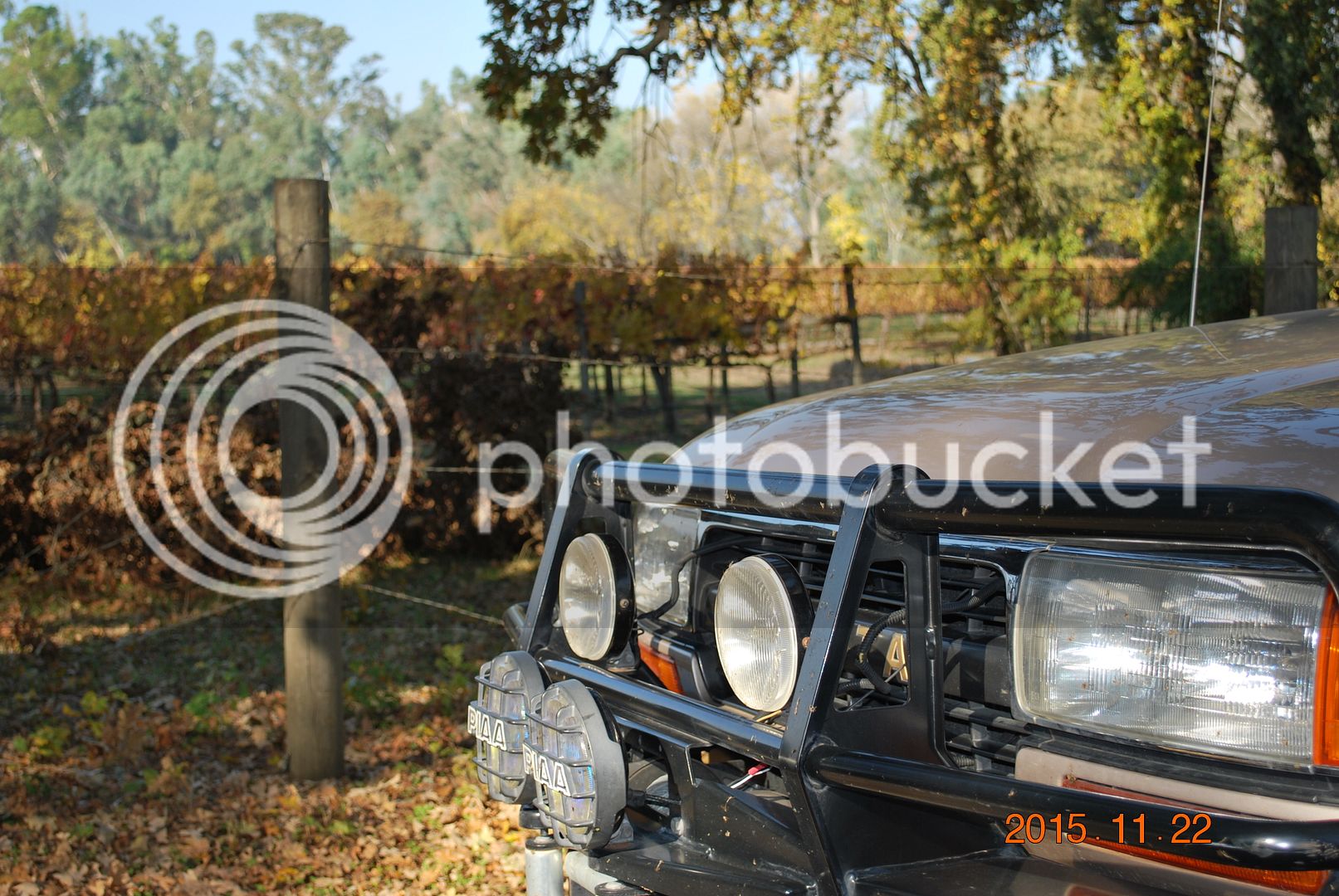 DSC_2519_zpssbjwz2fq.jpg