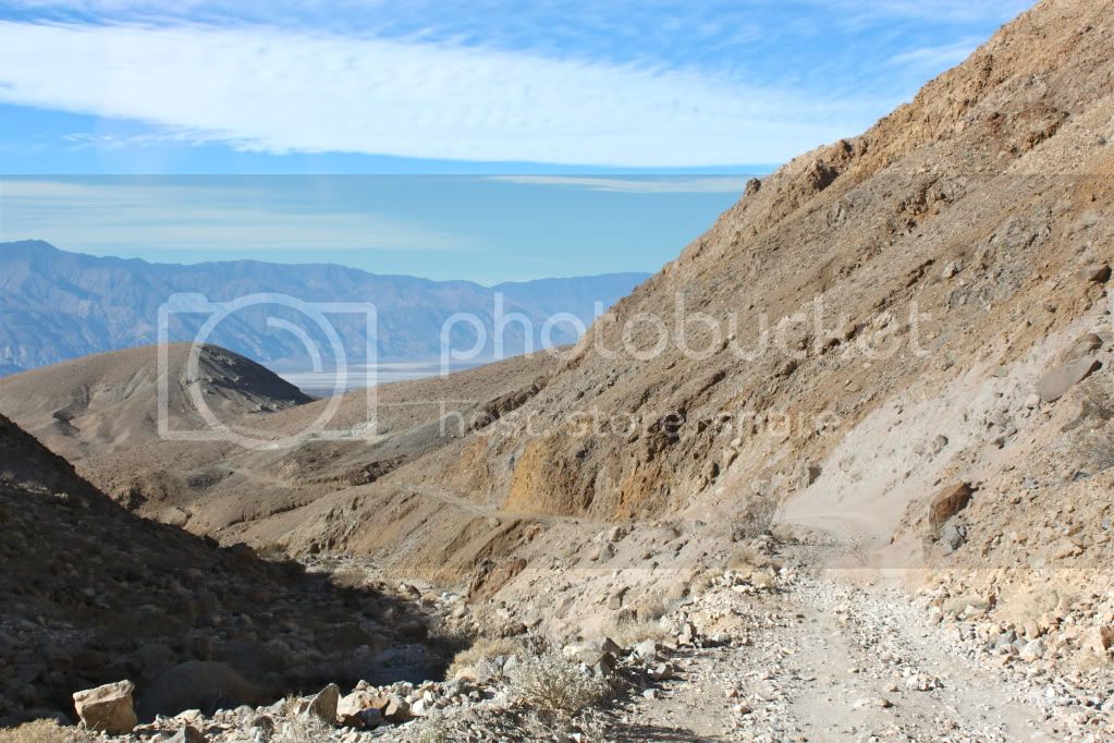 IMG_7417.jpg