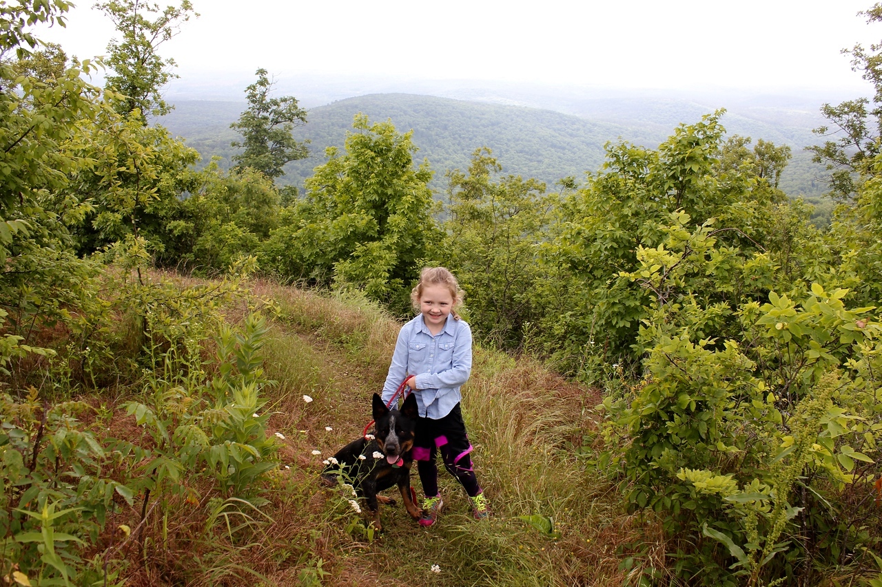 IMG_6538-X2.jpg