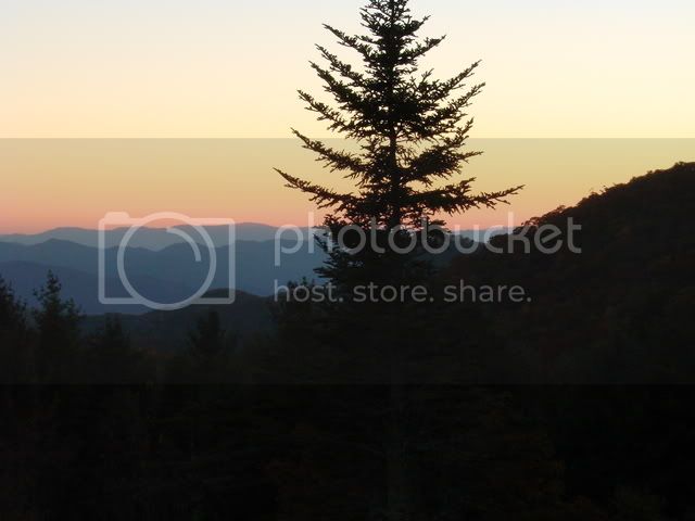 DSC08574.jpg