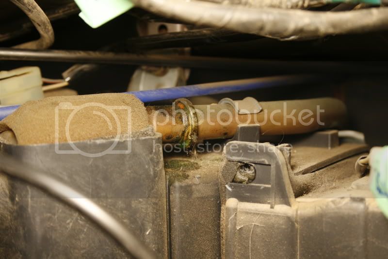 _MG_7054.jpg