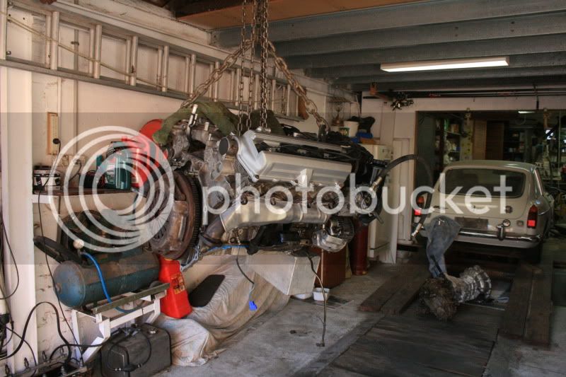 IMG_7263.jpg