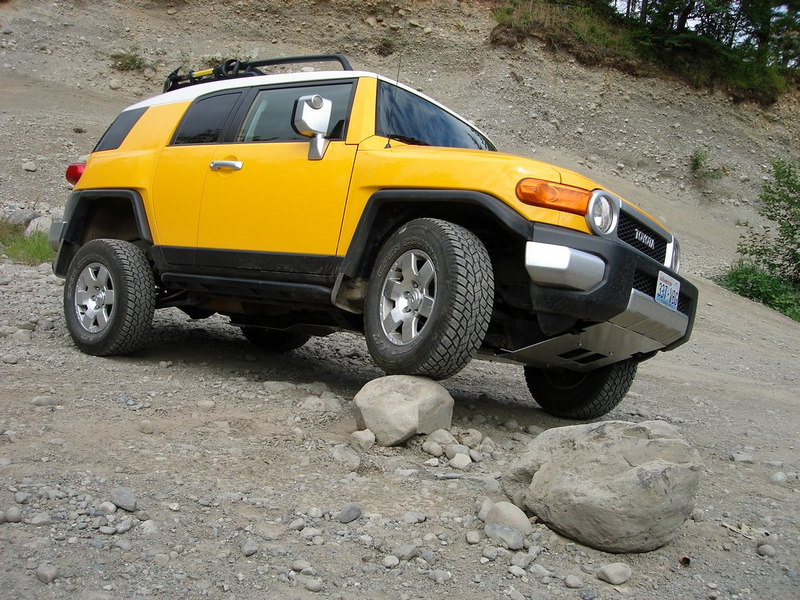 82279306-L.jpg