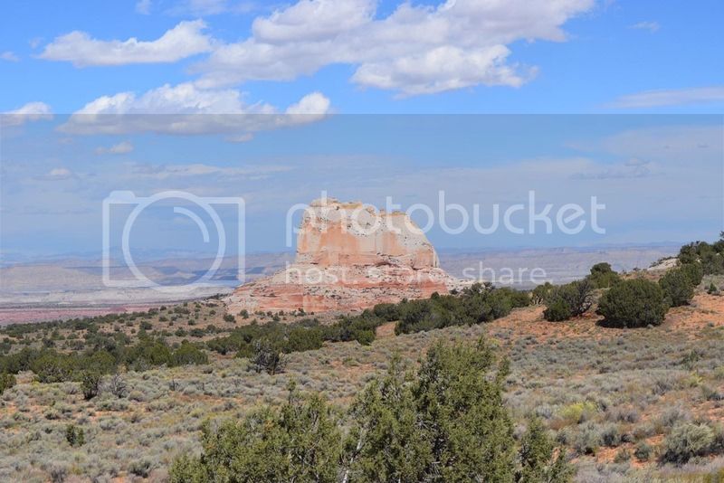 DSC_0186.jpg