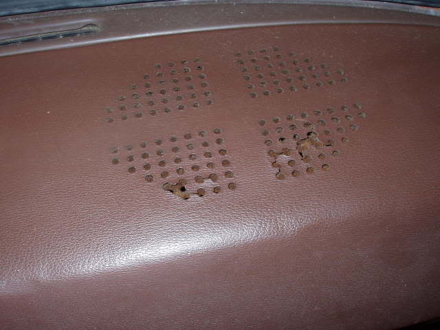 Picture025.jpg