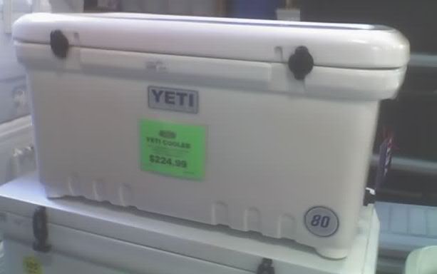 yeti80.jpg
