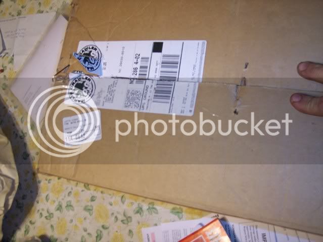 Picture224.jpg