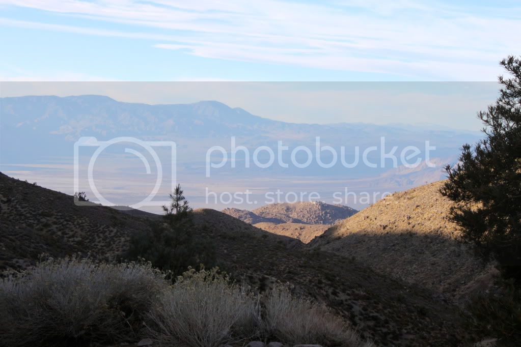 IMG_7613.jpg