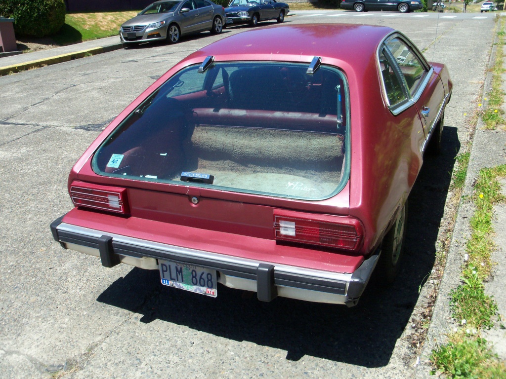 p4.jpg