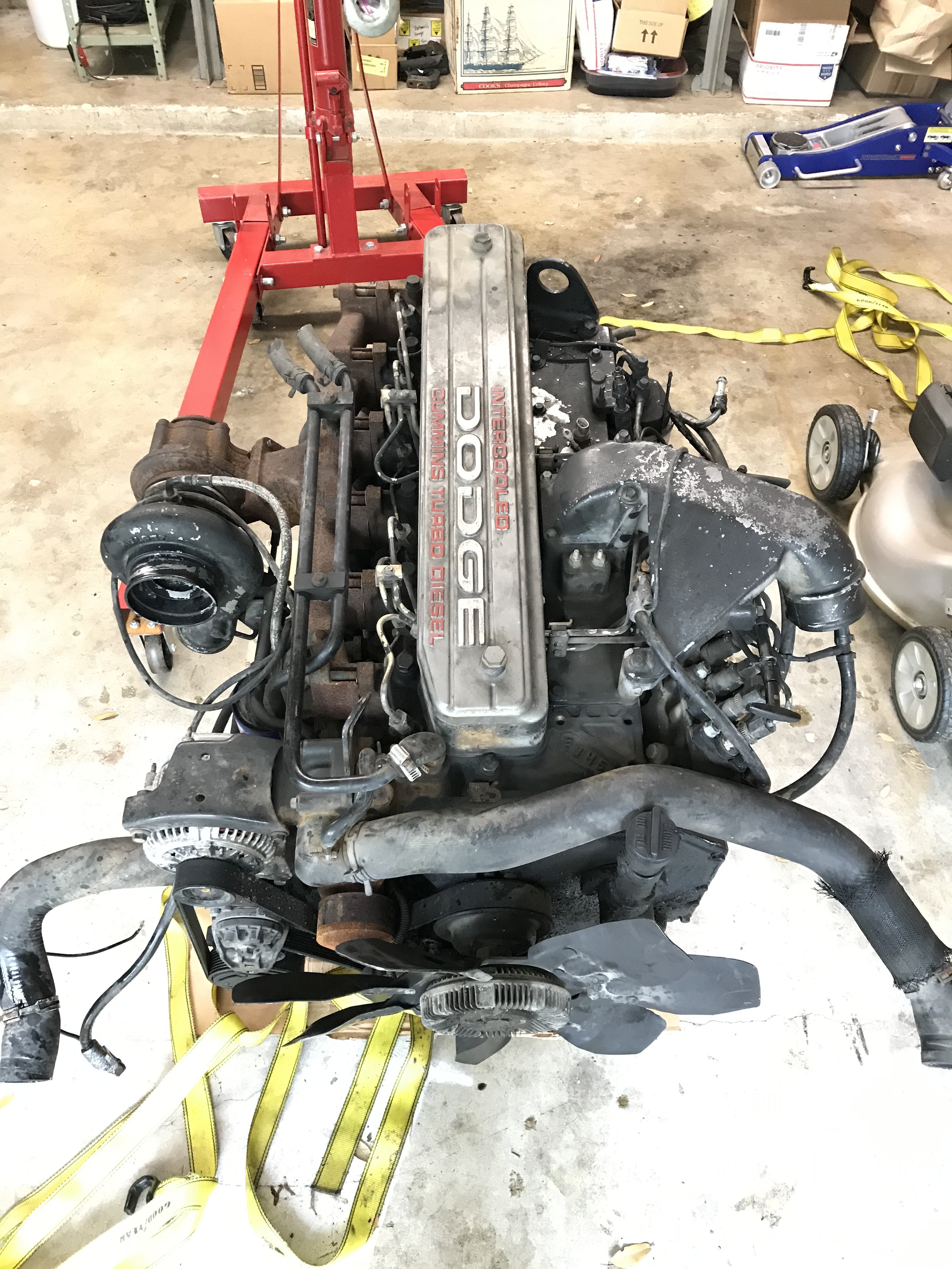 B5-CAB52-B-1866-45-B5-94-A9-83-DEF41-B15-AE.jpg