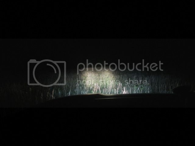 IMG_0602.jpg