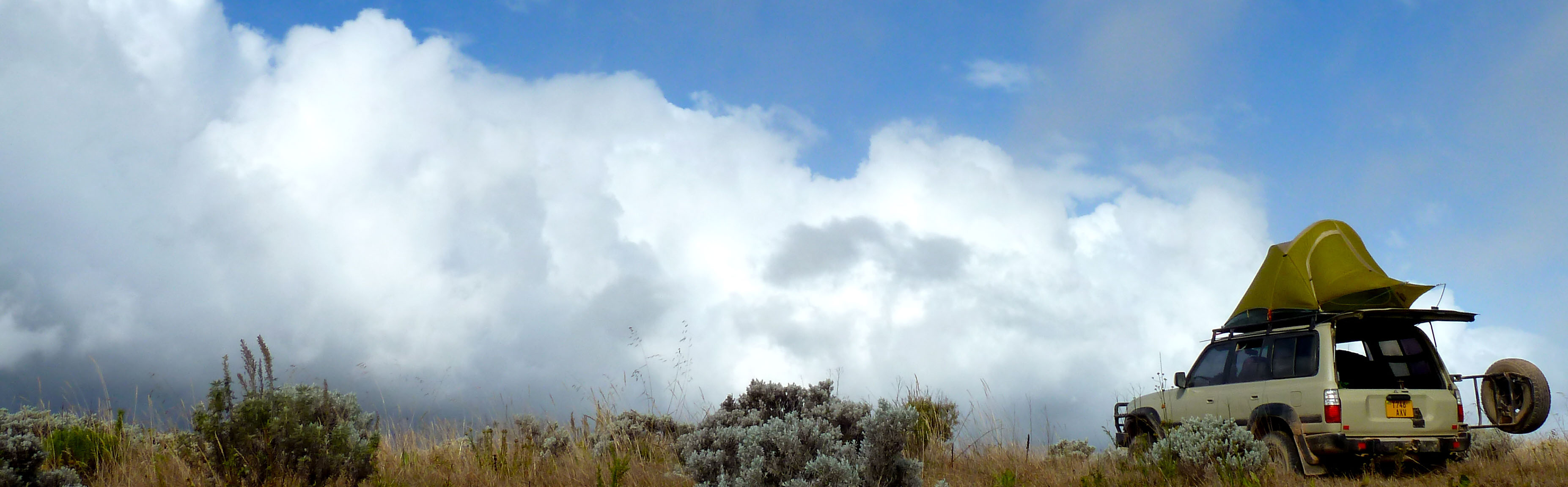 kitulo-80-cropped-3.jpg