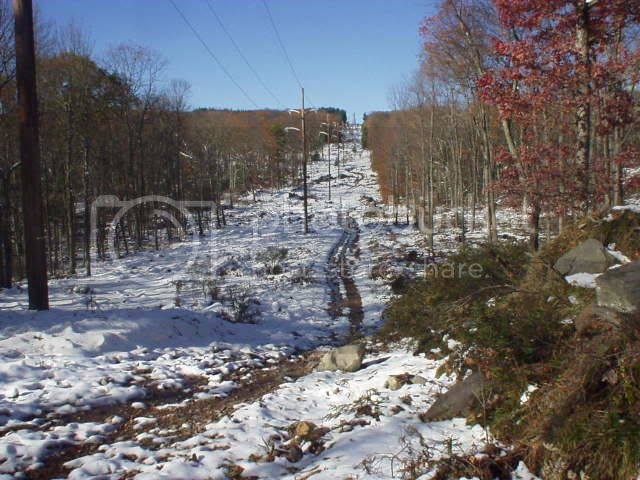 FallHunt10-30-08016.jpg