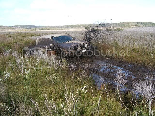 blankplate4.jpg