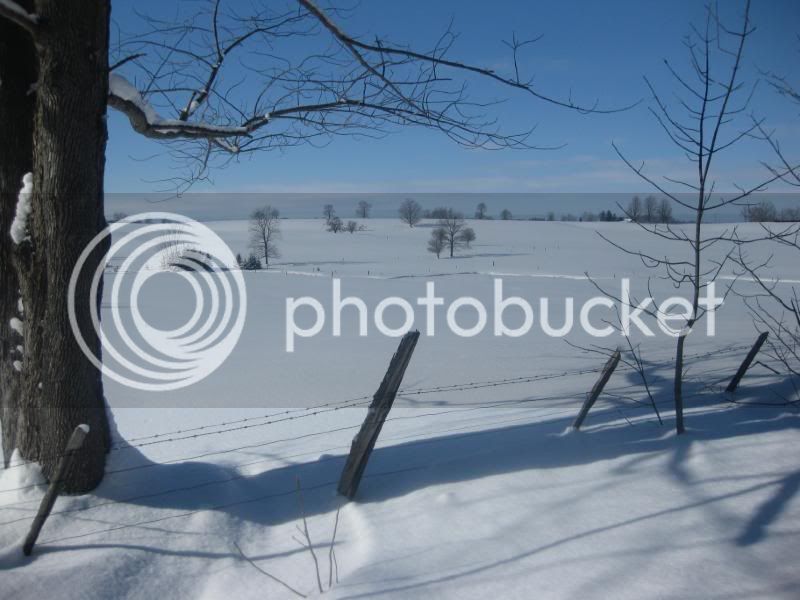 IMG_5981.jpg