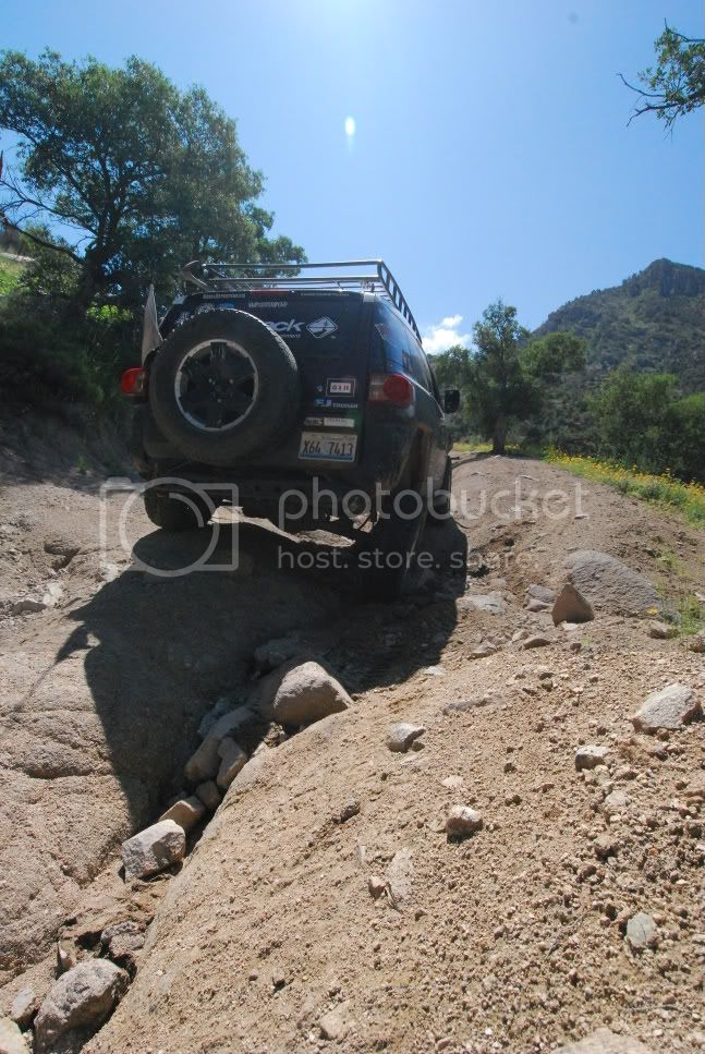 DSC_0142.jpg