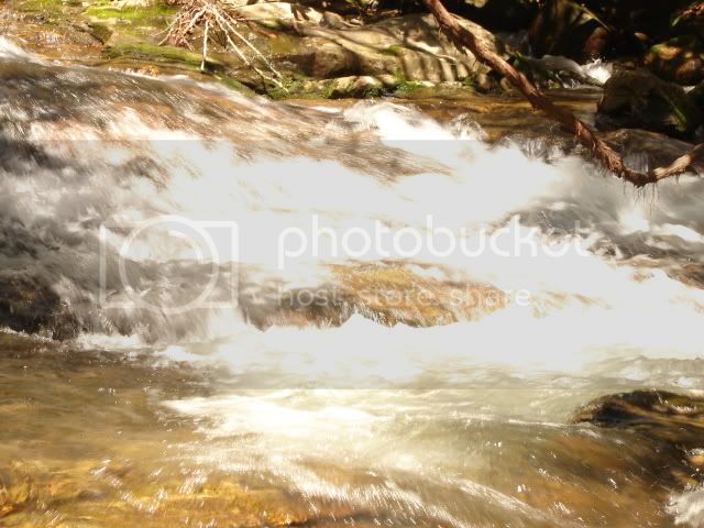Picture028.jpg