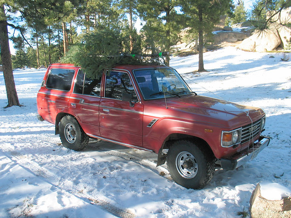 114467076-M.jpg