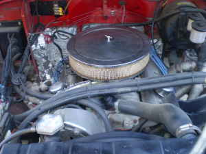 pic3.jpg