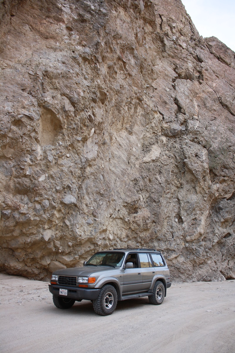 IMG_6468-X3.jpg