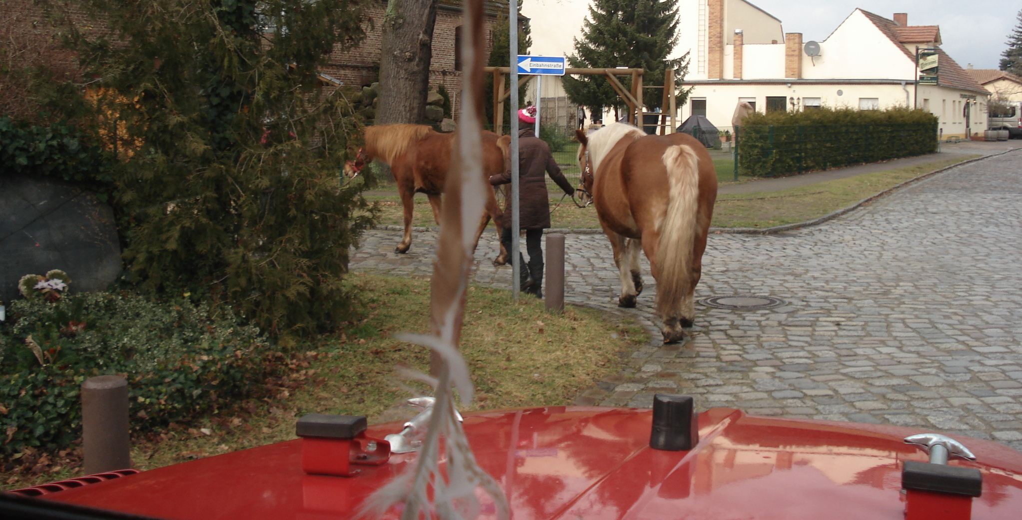 dsc016909puia.jpg