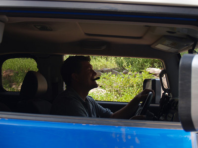 187920990-S.jpg