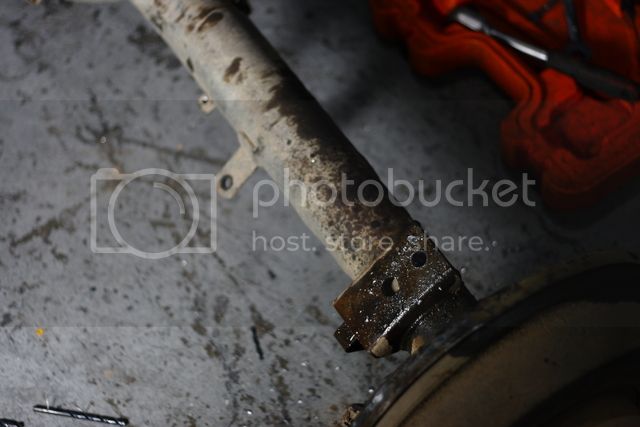 IMG_8038_zps7y7pthoh.jpg