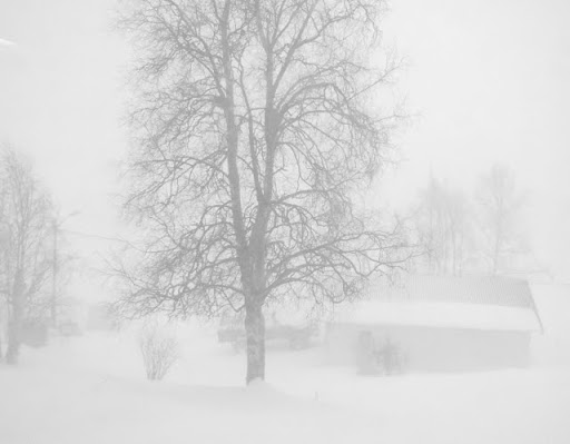 08032010814.jpg