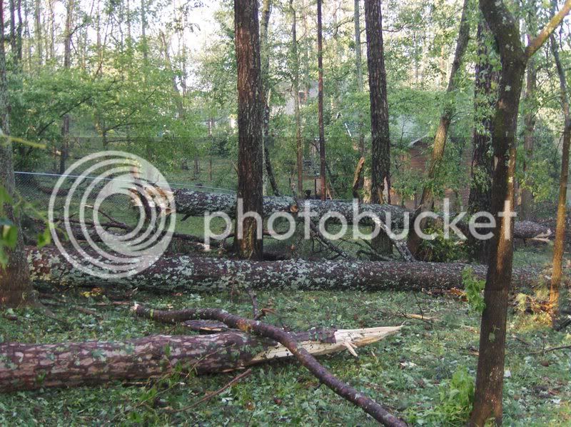 Tornado08014.jpg