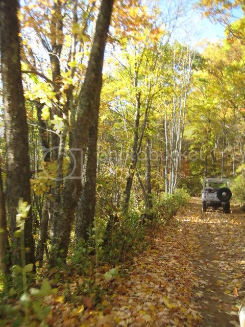 October07105.jpg