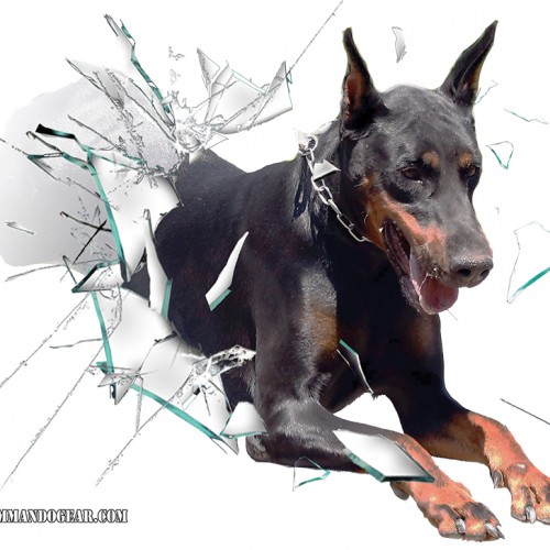 dobermann_55X40-500x500.jpg
