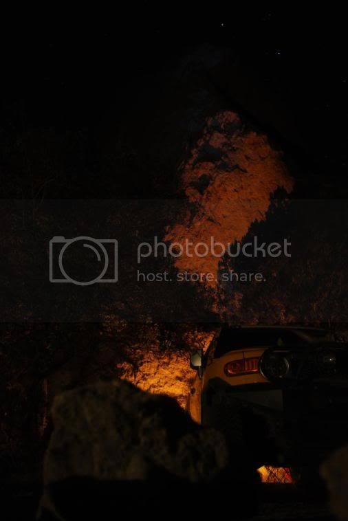 ALAMONIGHT9.jpg