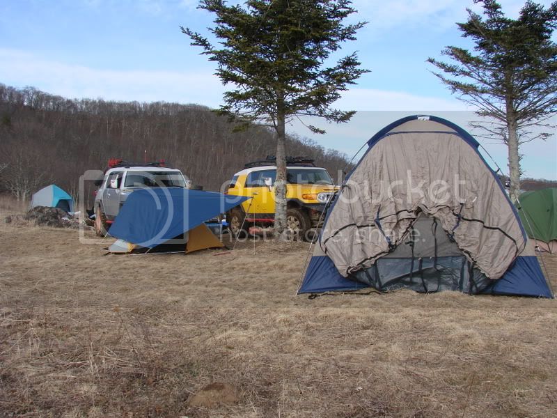 DSC00781.jpg